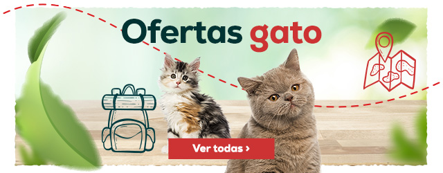 Ofertas gato