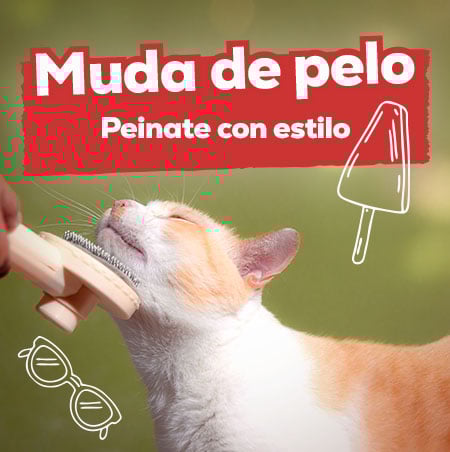 Ofertas de productos para el pelo