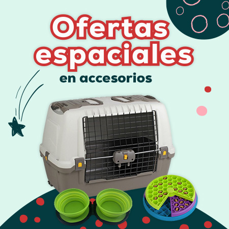 Ofertas en accesorios para perro