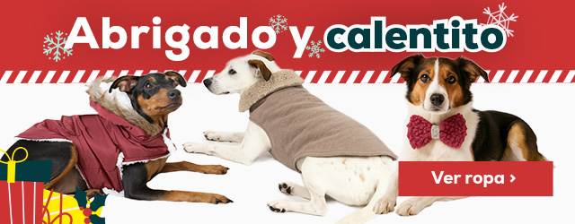 Ropa. Abrigado y calentito este invierno