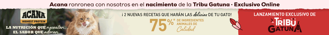 Acana y Tribu gatuna by kiwoko se unen para el lanzamiento en exclusiva de pienso Acana Indoor y gatito Acana y Tribu gatuna by kiwoko se unen para el lanzamiento en exclusiva de pienso Acana Indoor y gatito