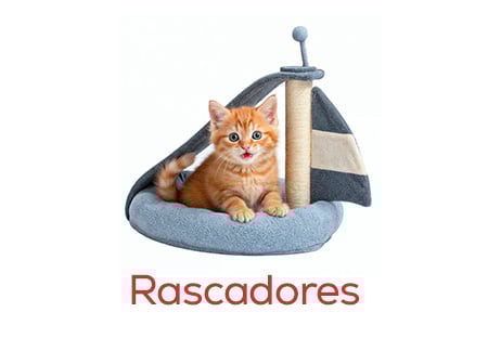 Rascadores para gatitos
