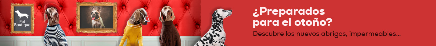 Descubre todas las novedades y tendencias en ropa para perro de este otoño