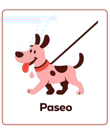 Correas, arneses y collares para vuestro primer paseo juntos