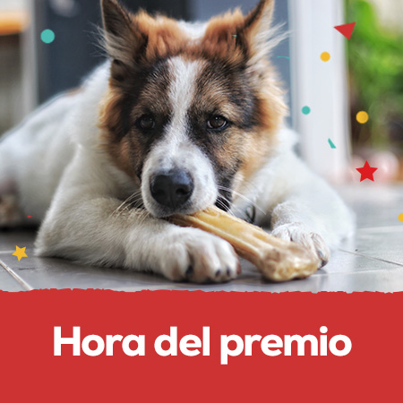 Snacks: Hasta -30% en selección de snacks para perro y gato