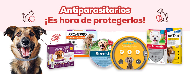 Antiparasitarios: es hora de proteger tu perro de las pulgas, garrapatas y del mosquito de la leishmaniosis