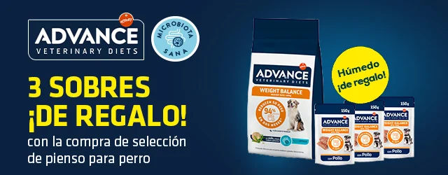 Advance: ¡Húmedo de regalo! en selección de pienso para perro