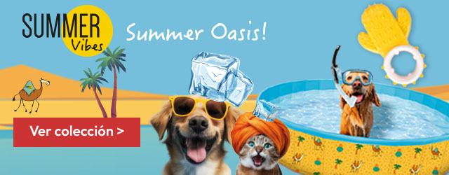 Summer Vibes: Disfruta de un buen chapuzón este verano