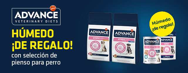 Advance: Húmedo ¡de regalo! con selección de pienso para perro