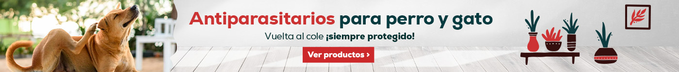 Antiparasitarios para perro y gato.Vuelta al cole siempre protegido