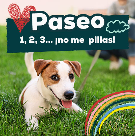 Ofertas de productos de paseo