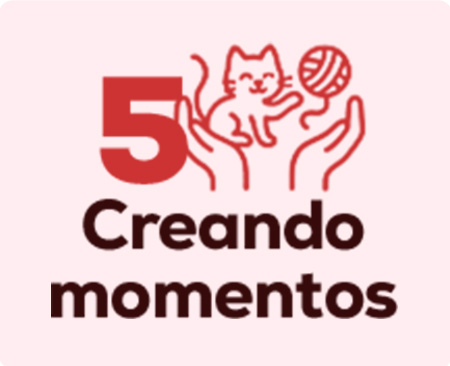 Todo lo necesario para crear momentos junto a tu gatito