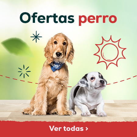 Ofertas perro