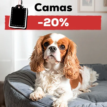 -20% en selección de camas