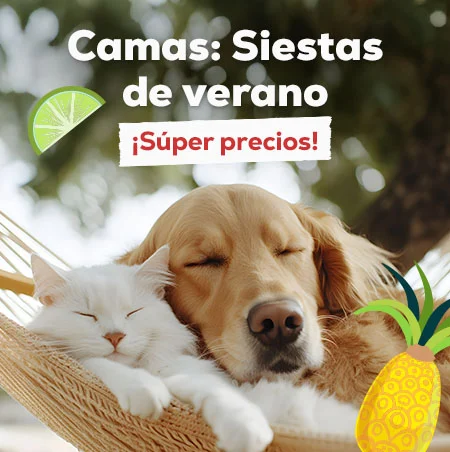 Siestas de verano: Súper precios en selección de camas
