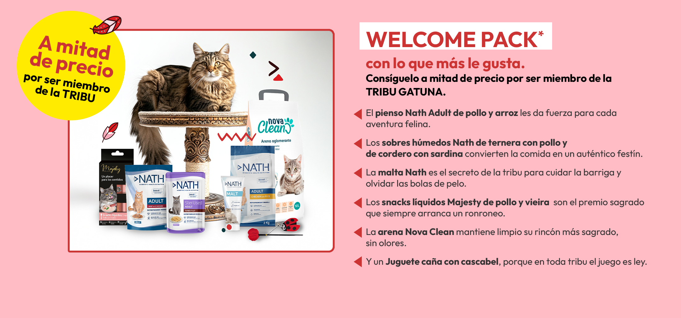 Imagen2 del Pack bienvenida