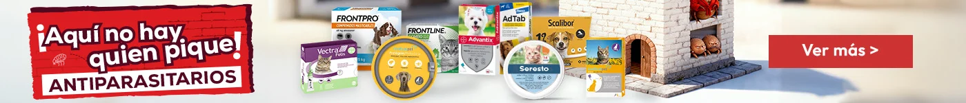 Antiparasitarios: Es hora de protegerlos de las pulgas, garrapatas, flébotomos...