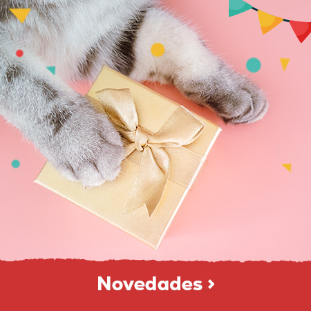 Novedades para gato