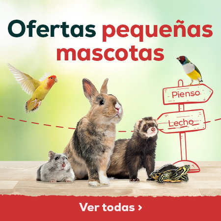 Ofertas pequeñas mascotas
