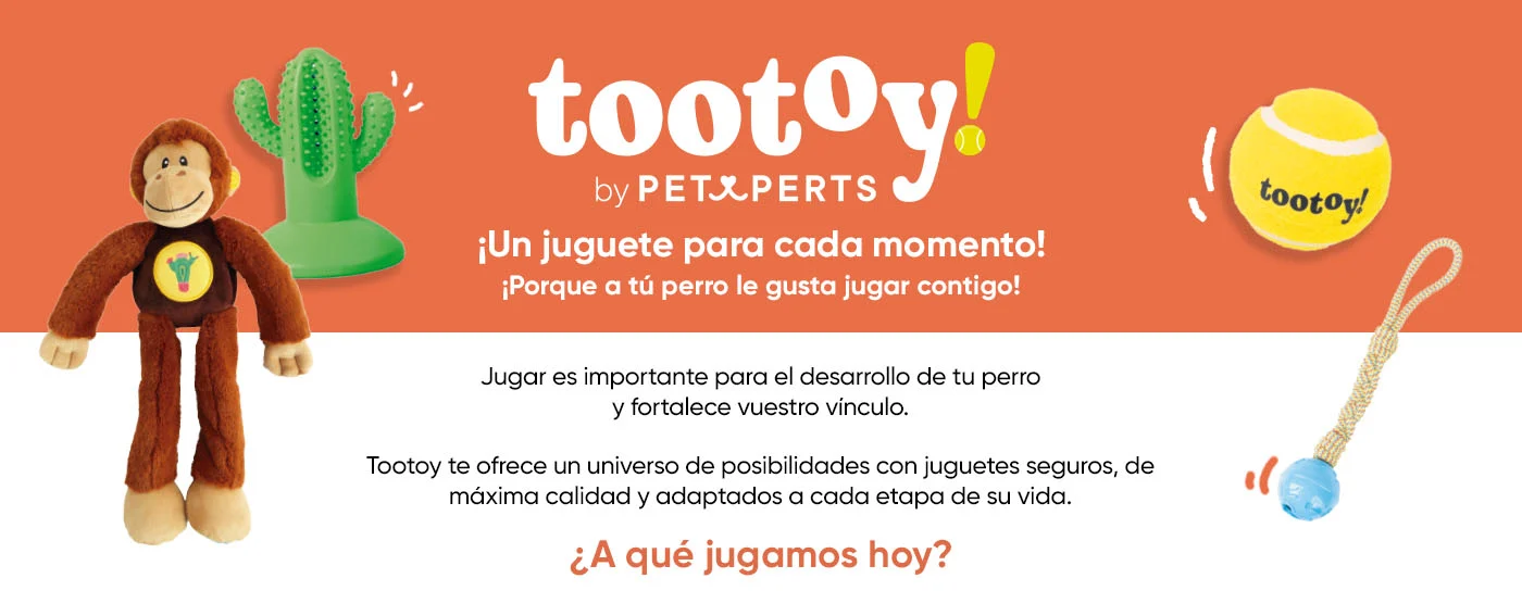 Tootoy
