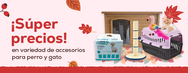 Súper precios en accesorios