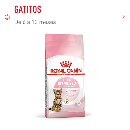 Royal Canin Kitten Sterilised pienso para gatitos esterilizados