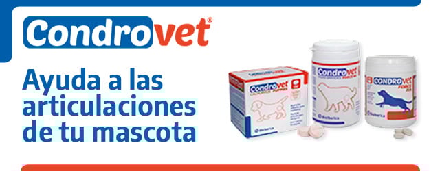 Condrovet