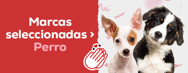 Marcas seleccionadas perros