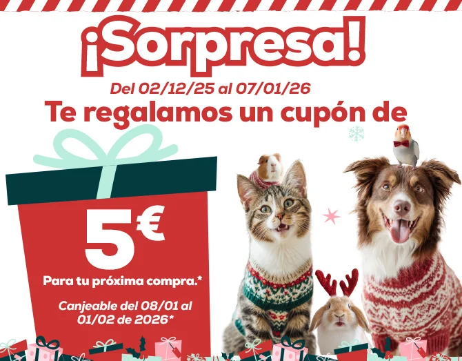 -5€ de regalo de navidad