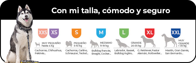 Guía para saber cual es la talla que mejor se adapta a tu perro según su peso. Desde la XXs hasta la XXL. 