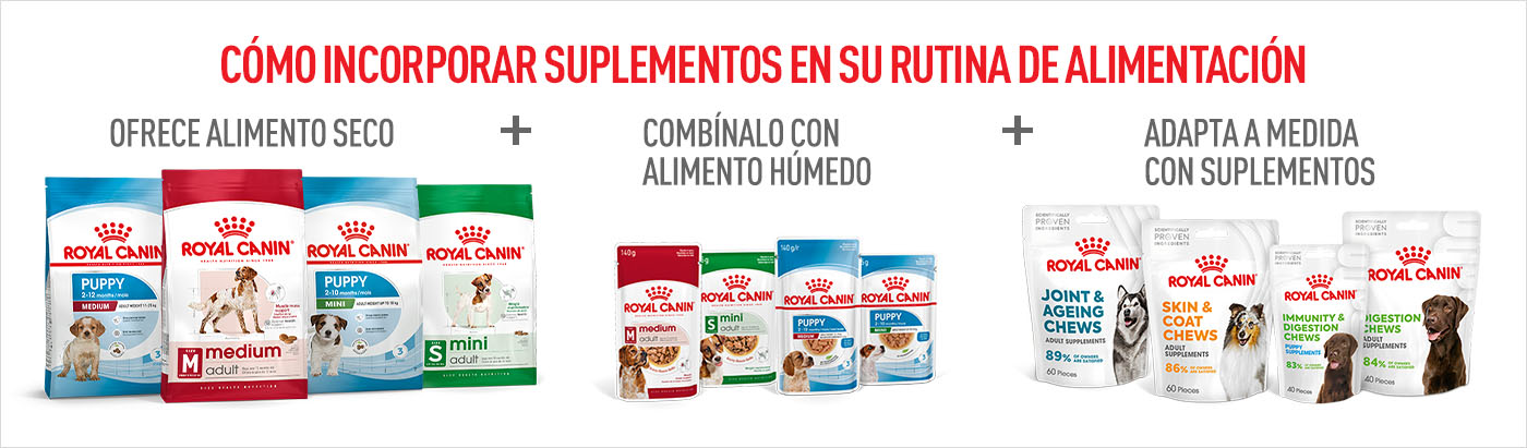 ¿Cómo incorporo los suplementos en su día a día? Ofrece alimento seco combinado con alimento húmedo y dale el suplemento adecuado
