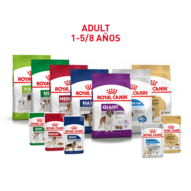 Descubre la gama para la estapa adulta