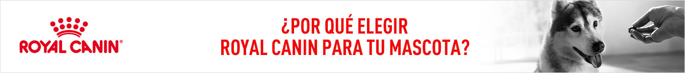 ¿Por qué elegir Royal Canin? Tenemos más de 55 años de experiencia observando científicamente a las mascotas para entender sus necesidades