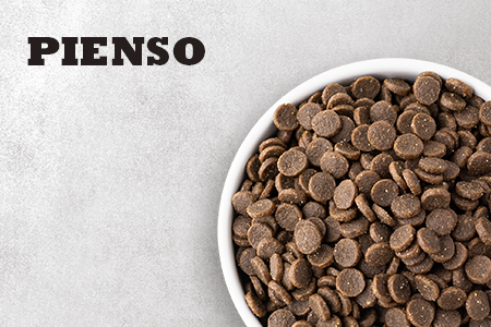 Pienso para gatos Acana