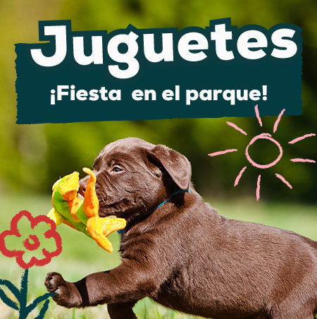 Ofertas de juguetes para divertirse en el parque