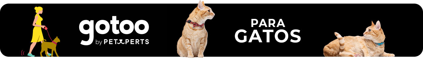 Gotoo para Gato