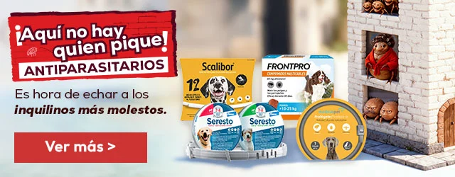 Antiparasitarios: Es hora de protegerlos de las pulgas, garrapatas, flébotomos... Antiparasitarios: Es hora de protegerlos de las pulgas, garrapatas, flébotomos...