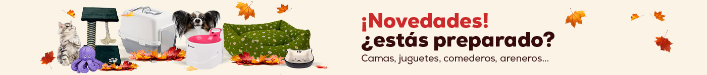 Novedades