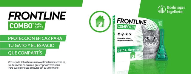 Frontline: Protección eficaz para tu gato y el espacio que compartís