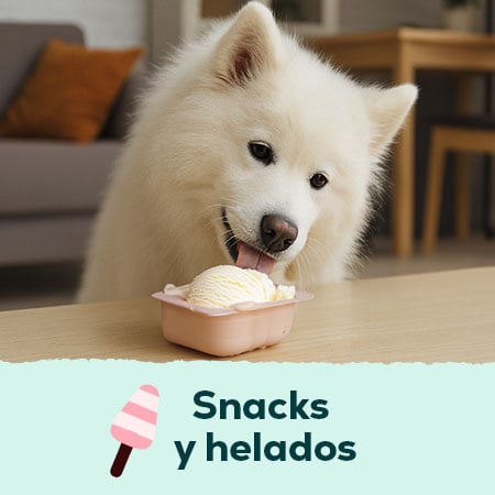 Snacks y helados para perros y gatos