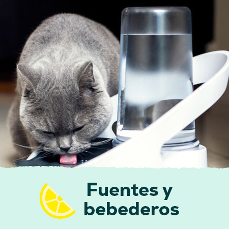 Fuentes y bebederos para perros y gatos