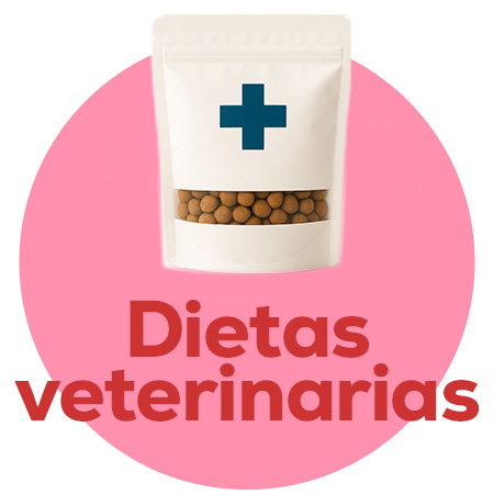 Dietas veterinarias específicas para gatitos