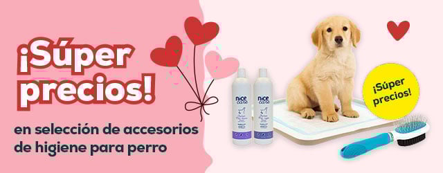 Súper precios en selección de accesorios para perro