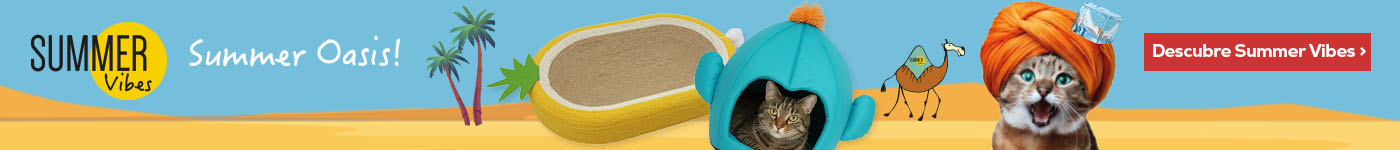 Summer Vibes: Los productos más refrescantes de la nueva colección de verano para gato