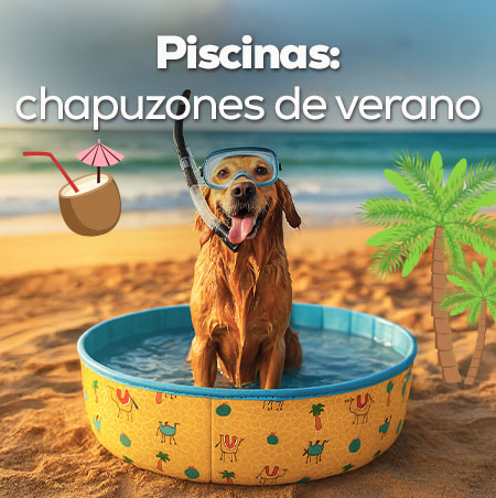 Piscina: Chapuzones de verano