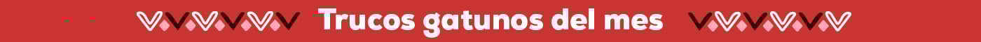 Trucos gatunos del mes Trucos gatunos del mes