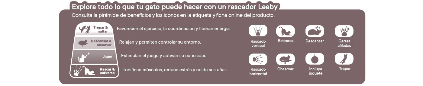 Conoce el universo de accesorios Leeby:  Diseño y bienestar para cada estilo de vida y tipo de mascota.