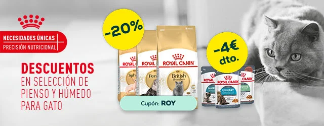 Royal Canin: -4€ en selección de pienso para gato 2 kg, y -20% en selección de packs de húmedo para gato 24 x 85 g