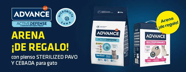 Advance: Arena de regalo con referencias seleccionadas de pienso para gato