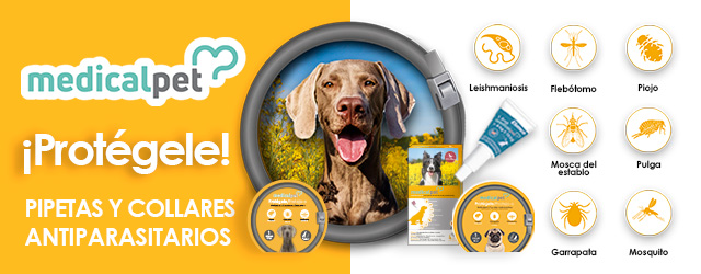 Medicalpet: Protégele con pipetas y collares antiparasitarios para perro